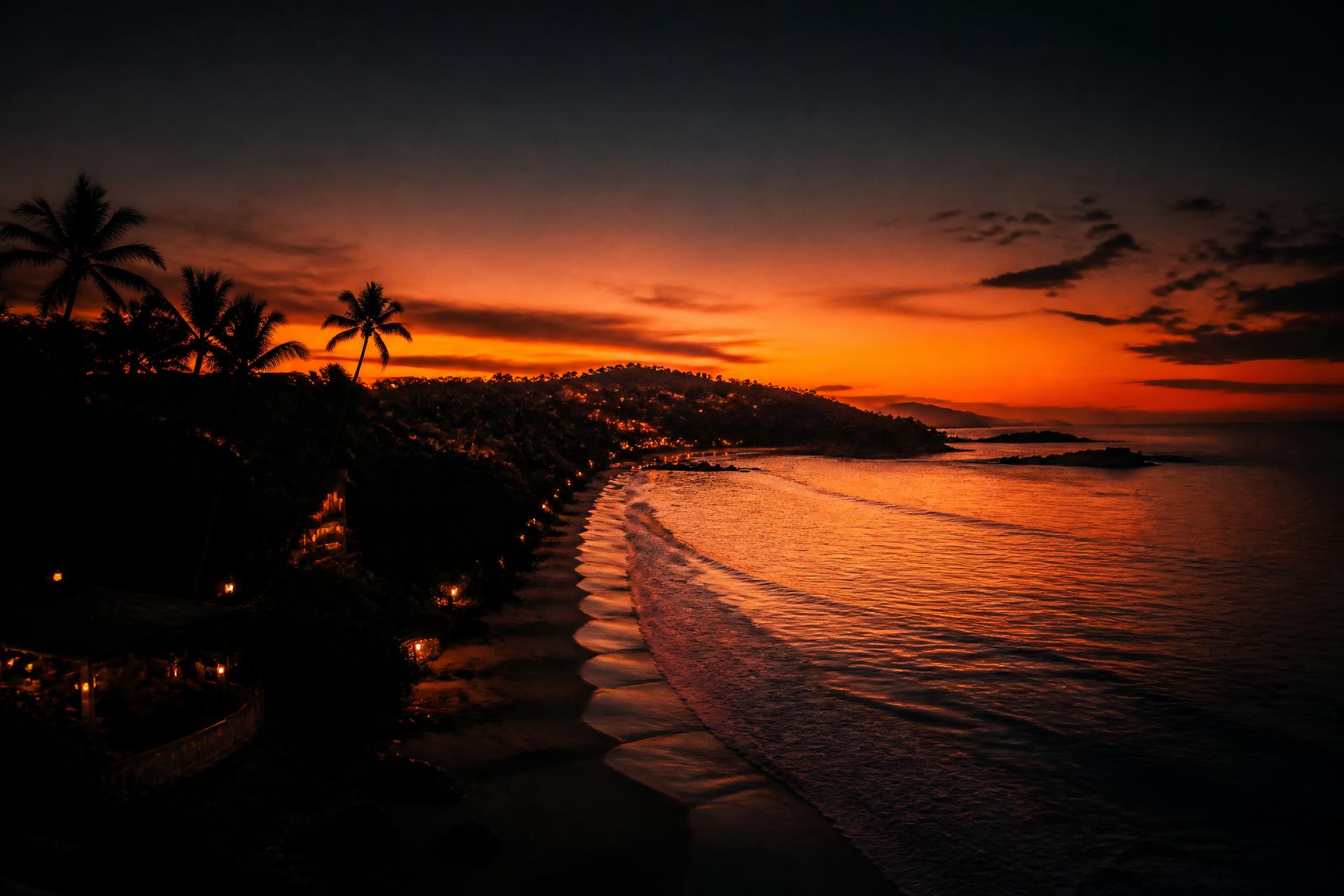 Amanecer en la costa de Nayarit con palmeras en silueta